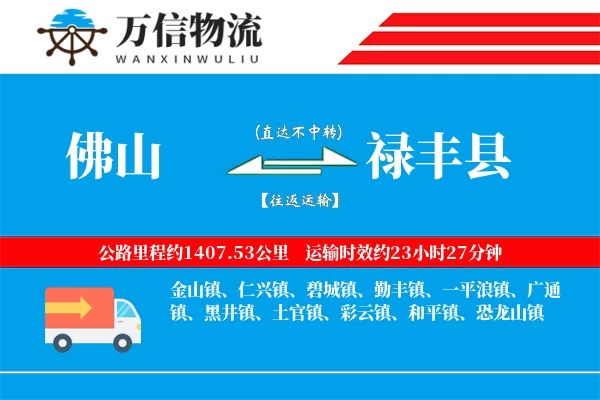佛山到禄丰县物流公司