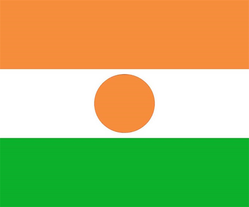 尼日尔专线