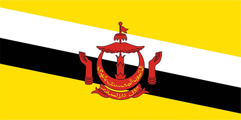 文莱专线