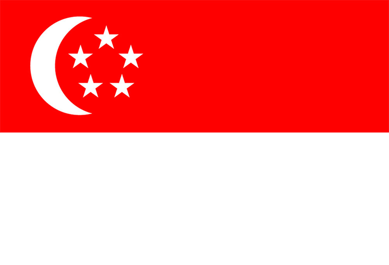 新加坡专线